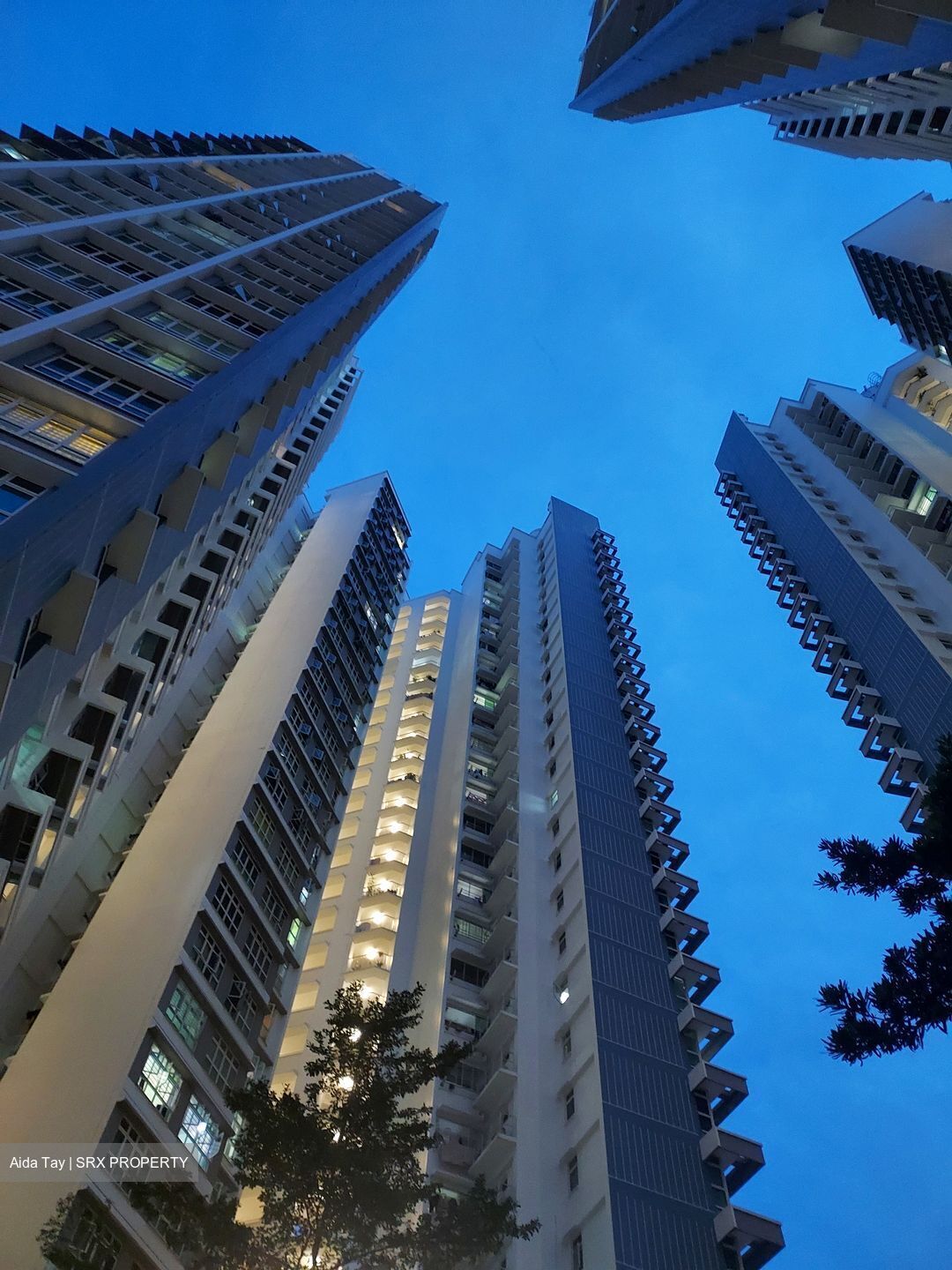 Redhill Lane (Bukit Merah),  #609412391